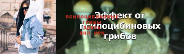 таблы Дмитриев