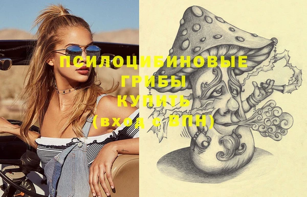 таблы Дмитриев