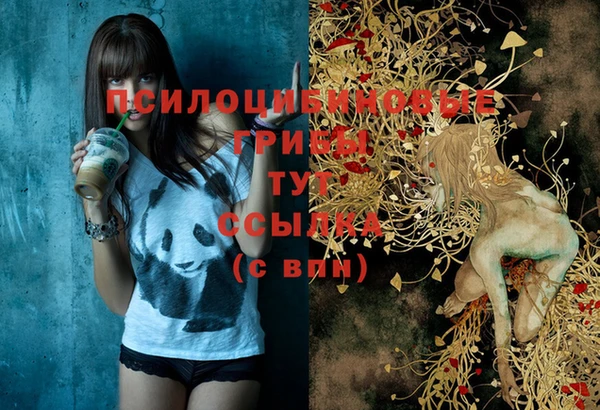mix Дмитров